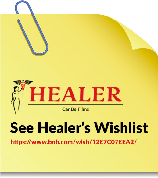 See Healer’s Wishlist